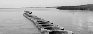 OysterBreak rings are a reef-building product from Water Challenge winner ORA Estuaries. Courtesy of ORA Estuarie