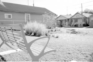 The New Orleans Redevelopment Authority took this empty lot on Forshey Street and made it into a rain garden.