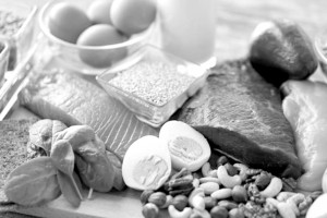 protein-options-for-muscle-