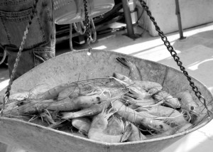 Fresh-Louisiana-shrimp-0218