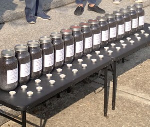 Jars are used to represent some of the residents who have died while living on the Agriculture Landfill on which their homes were built