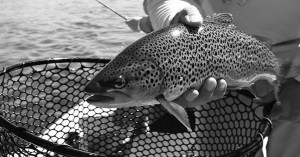 trout-fishing-012720