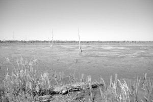 No Fishing Allowed In This Marsh Near Bayou Bienvenue